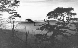 015 - gempen in afrika